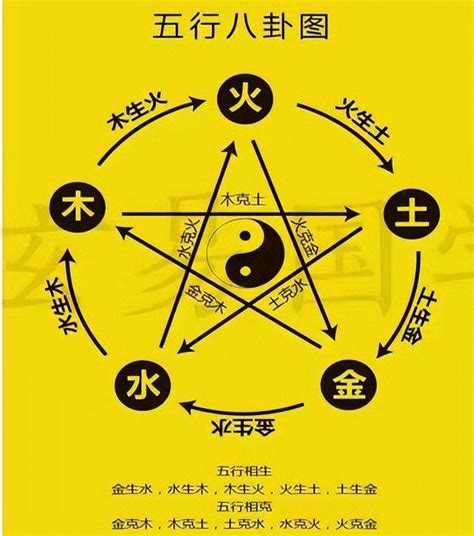 木生金|五行（对万事万物的取象比类）